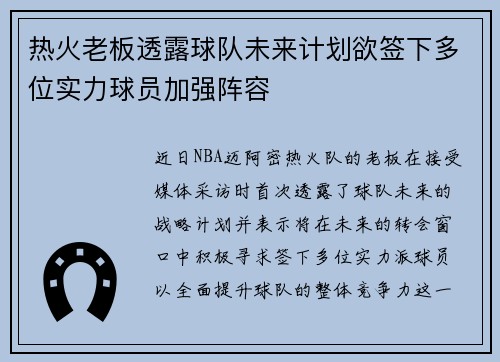 热火老板透露球队未来计划欲签下多位实力球员加强阵容